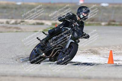 media/Mar-24-2025-2WTD (Mon) [[55b4b08488]]/C Group/240pm (Cotton Corners)/